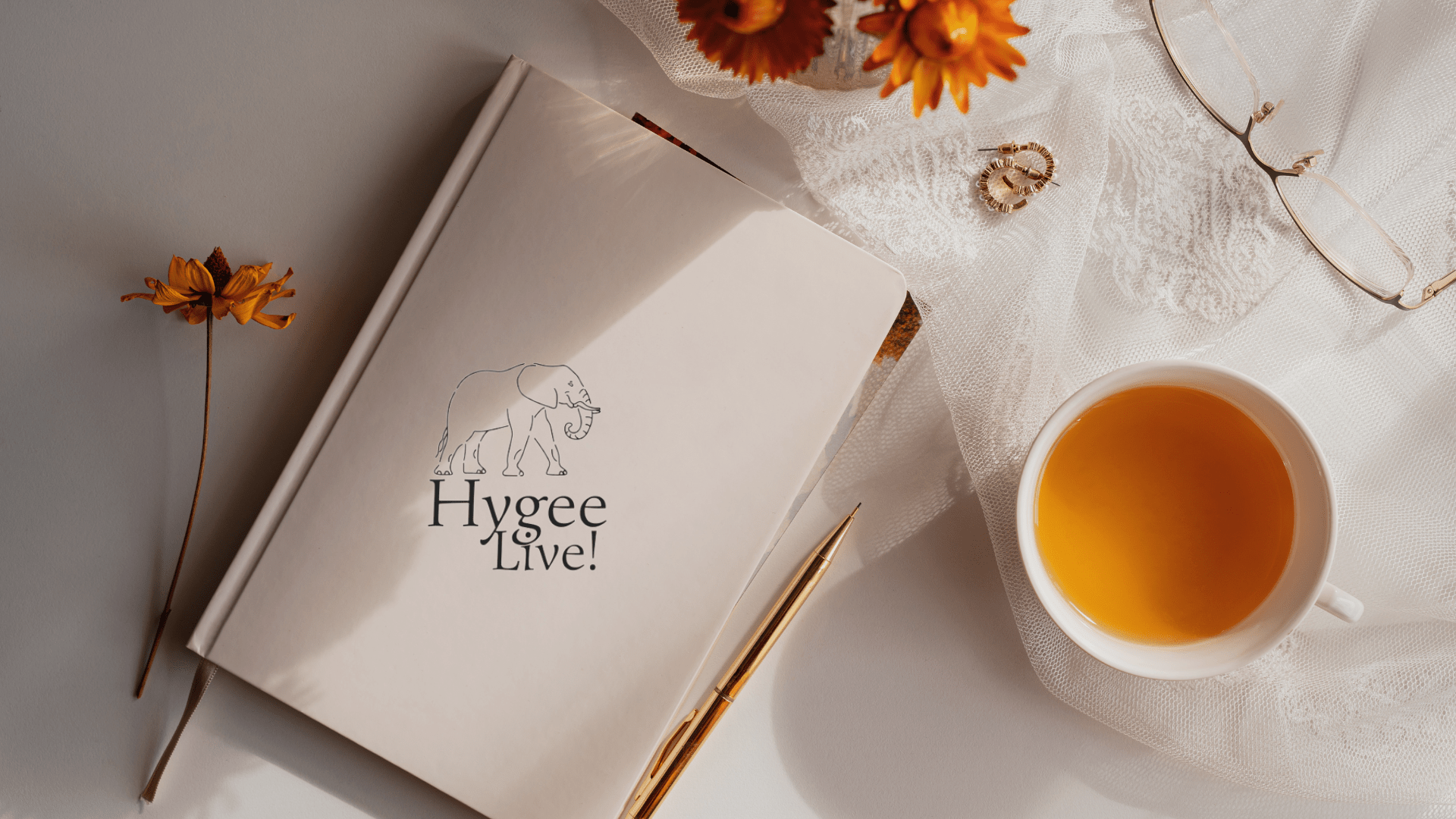 Journaling para el bienestar hygeelive